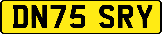 DN75SRY