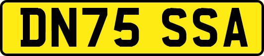 DN75SSA