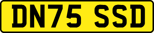 DN75SSD