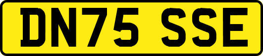 DN75SSE