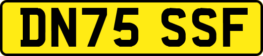 DN75SSF