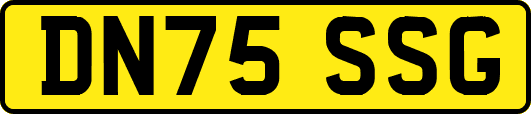 DN75SSG
