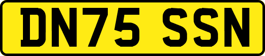 DN75SSN