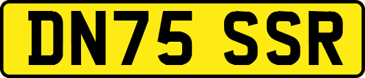DN75SSR