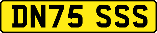DN75SSS