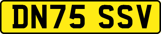 DN75SSV