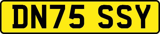 DN75SSY