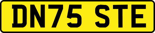 DN75STE