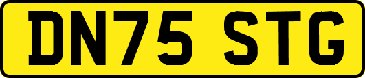 DN75STG