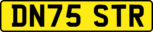 DN75STR