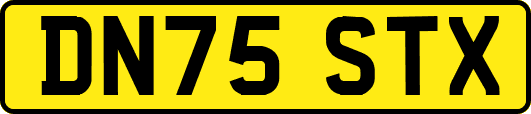 DN75STX