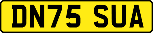 DN75SUA