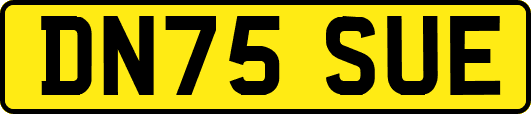 DN75SUE