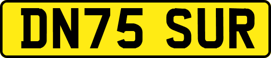 DN75SUR