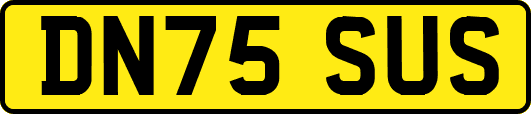 DN75SUS