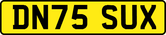 DN75SUX