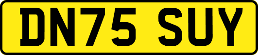 DN75SUY
