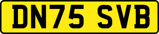 DN75SVB