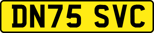 DN75SVC
