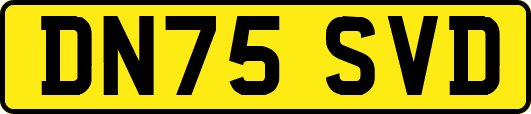 DN75SVD