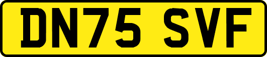 DN75SVF