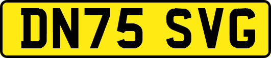 DN75SVG