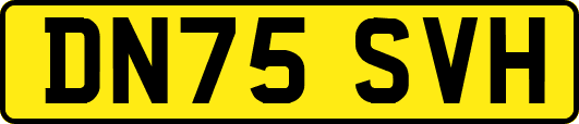DN75SVH