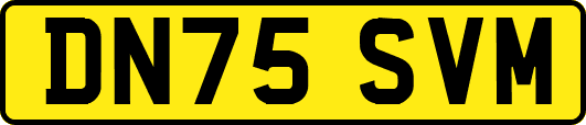 DN75SVM