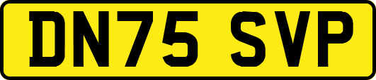 DN75SVP