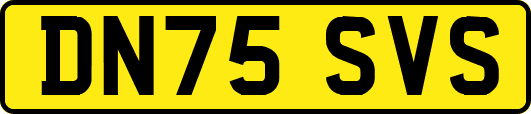 DN75SVS