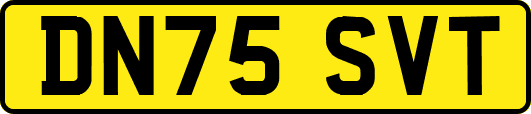 DN75SVT