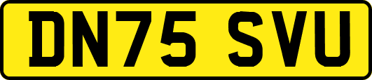 DN75SVU