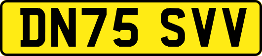 DN75SVV