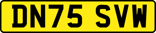 DN75SVW