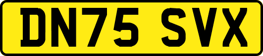 DN75SVX