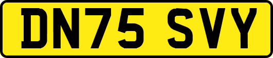 DN75SVY