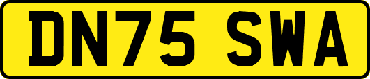 DN75SWA