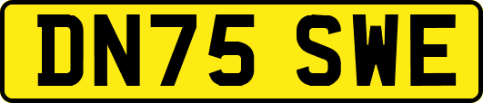 DN75SWE