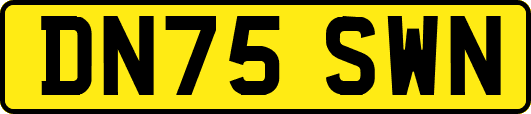 DN75SWN
