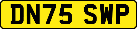 DN75SWP