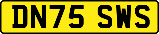 DN75SWS