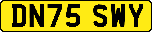 DN75SWY