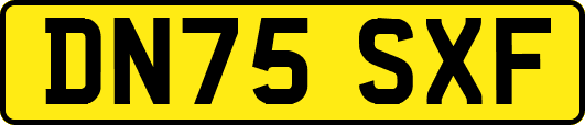 DN75SXF