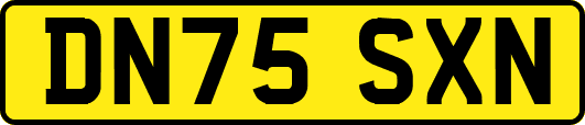 DN75SXN