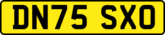 DN75SXO