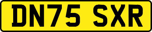 DN75SXR