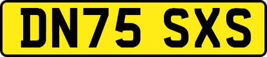 DN75SXS