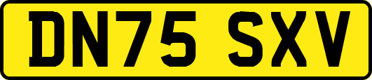 DN75SXV