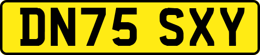 DN75SXY