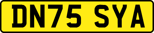 DN75SYA